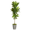 Nearly Natural 5`Dracaena Artificial Plant in Decorative Tin Planter (Real Touch)