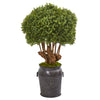 Nearly Natural 9770 44" Artificial Green Boxwood Topiary Tree in Metal Planter, (Indoor/Outdoor)