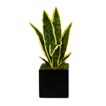 Nearly Natural P1591 16” Sansevieria Artificial Plant in Black Planters
