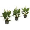 Nearly Natural 4974-S3 11" Artificial Green Spathyfillum with Cement Planter, Set of 3