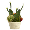 Nearly Natural 26``Cactus Garden Artificial Plant in White Planter