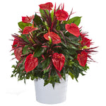 Nearly Natural P1041 29" Artificial Green & Red Mixed Anthurium Plant in White Tin Planter