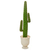 Nearly Natural P1117 5' Artificial Green Cactus Plant in Decorative Urn