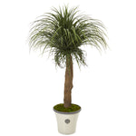 Nearly Natural T1042 61" Artificial Green Pony Tail Palm Plant in Decorative Planter