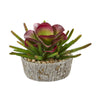 Nearly Natural P1155 8" Artificial Green & Maroon Mixed Succulent Plant in Weathered Oak Planter