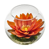 Nearly Natural 8'' Lotus Artificial Arrangement in Glass Vases
