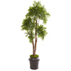 Nearly Natural 9740 82" Artificial Green Ruscus Tree in Planter, UV Resistant (Indoor/Outdoor)
