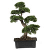 Nearly Natural NN4103 Cedar Bonsai 24`` Silk Plants