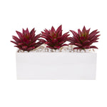 Nearly Natural 8472 8" Artificial Burgundy Triple Agave Succulent Plant in White Vase