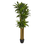 Nearly Natural 6` Corn Stalk Dracaena Artificial Plant (Real Touch)