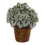 Nearly Natural 8858 13" Artificial Green Begonia Plant in Basket