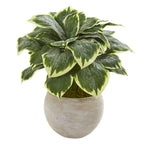 Nearly Natural 8570 26" Artificial Green Variegated Hosta Plant in Sand Colored Bowl