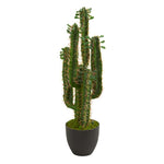 Nearly Natural 6330 2.5' Artificial Green Cactus Plant in Black Planter