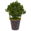 Nearly Natural 8489 2.5' Artificial Green Peperomia Plant in Metal Planter, UV Resistant (Indoor/Outdoor)