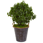 Nearly Natural 8489 2.5' Artificial Green Peperomia Plant in Metal Planter, UV Resistant (Indoor/Outdoor)
