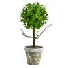 Nearly Natural T2031 15`` Eucalyptus Topiary Artificial Trees