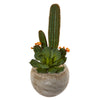 Nearly Natural P1313 27" Artificial Green Mixed Succulent Plant in Sand Colored Planter