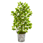 Nearly Natural 9921 37" Artificial Green Mini Ficus Tree in White Washed Vintage Metal Pail