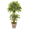 Nearly Natural 9389 4.5' Artificial Green Variegated Ficus Tree in Farmhouse Planter