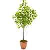 Nearly Natural 9610 67" Artificial Green Lemon Tree in Terra-Cotta Planter