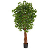Nearly Natural 5.5` Super DeluxeNatural Trunk Ficus Artificial Tree with