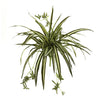 Nearly Natural 6118-S4 23" Artificial Green Spider Plant Bush, Set of 4