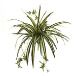Nearly Natural 6118-S4 23" Artificial Green Spider Plant Bush, Set of 4