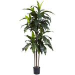 Nearly Natural 5446 5' Artificial Green Dracaena Plant, UV Resistant (Indoor/Outdoor)