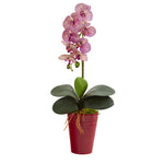 Nearly Natural 23`` Phalaenopsis Orchid Artificial Arrangement in Vase