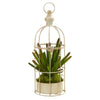 Nearly Natural P1282 15" Artificial Green Cactus Succulent Plant in Decorative Cage