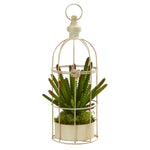 Nearly Natural P1282 15" Artificial Green Cactus Succulent Plant in Decorative Cage
