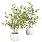 Nearly Natural 18`` Olive Silk Tree w/Vase (Set of 2)