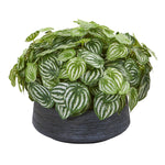 Nearly Natural 8855 14" Artificial Green Real Touch Watermelon Peperomia Plant in Decorative Bowl
