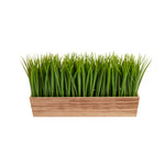 Nearly Natural P1653 20” Vanilla Grass Artificial Plant in Decorative Planters