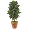 Nearly Natural 6319 42" Artificial Green Zebra Plant in Terracotta Planter