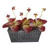 Nearly Natural P1158 9" Artificial Maroon Succulent Plant in Embossed Tin Planter