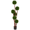 Nearly Natural 5485 Artificial Green New Boxwood Tree, UV Resistant (Indoor/Outdoor)