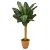 Nearly Natural 9543 57" Artificial Green Banana Tree in Terra Cotta Planter