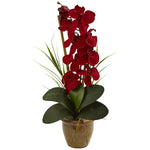 Nearly Natural Seasonal Phalaenopsis Orchid Arrangement