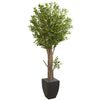 Nearly Natural 5614 6.5' Artificial Green Olive Tree in Black Planter