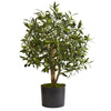 Nearly Natural 5564 29" Artificial Green Olive Tree