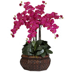Nearly Natural Large Phalaenopsis Silk Flower Arrangement