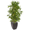 Nearly Natural 9337 5' Artificial Green Real Touch Bamboo Tree in Black Planter, UV Resistant (Indoor/Outdoor)