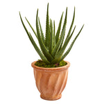 Nearly Natural 9059 21" Artificial Green Aloe Plant in Terra Cotta Planter