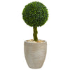 Nearly Natural 5885 2.5' Artificial Green Boxwood Ball Topiary Tree in Sand Colored Oval Planter, UV Resistant (Indoor/Outdoor)