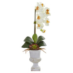 Nearly Natural Phalaenopsis Orchid and Succulent Artificial Arrangement in Urn