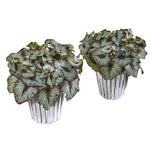 Nearly Natural 8799-S2 10" Artificial Green Begonia Plant in White & Silver Trimmed Vase, Set of 2