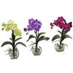 Nearly Natural 1312-S3 15" Artificial Mini Vanda Orchid Arrangement, Multicolor, Set of 3