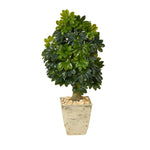 Nearly Natural T1377 3.5` Schefflera Artificial Tree in Country White Planters