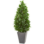 Nearly Natural 9369 57" Artificial Green Bay Leaf Cone Topiary Tree in Slate Planter, UV Resistant (Indoor/Outdoor)